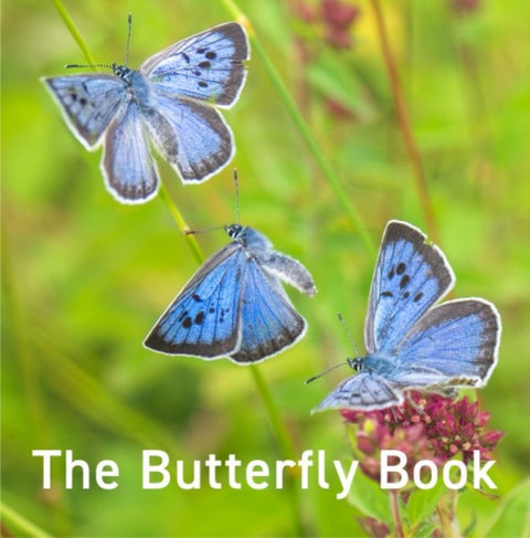 Nature Book Series: The Butterfly Book