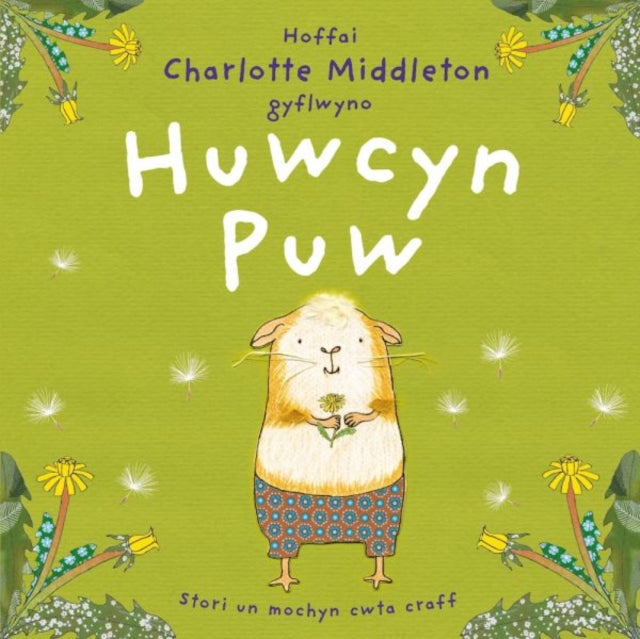 Book cover of: Huwcyn Puw