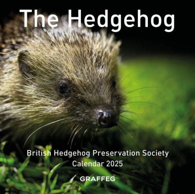 Book cover of: The Hedgehog Calendar 2025