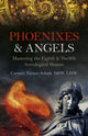 Book cover of: Phoenixes & Angels. By: Carmen Turner-Schott MSW