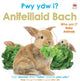 Book cover of: Pwy Ydw i? Anifeiliaid Bach / Who Am I? Baby Animals