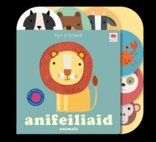 Book cover of: Cyfres Bys a Bawd: Anifeiliad / Animals