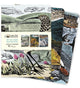 Angela Harding: Wildlife Set of 3 Midi Notebooks 9781804172193 Flame Tree Studio