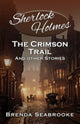 Book cover of: Sherlock Holmes. By: Brenda Seabrooke