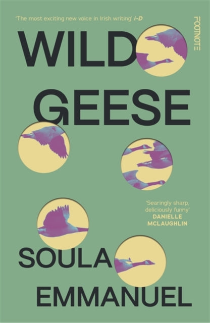 Wild Geese, the LAMBDA and GORDON BOWKER VOLCANO PRIZE winner 9781804440162 Soula Emmanuel