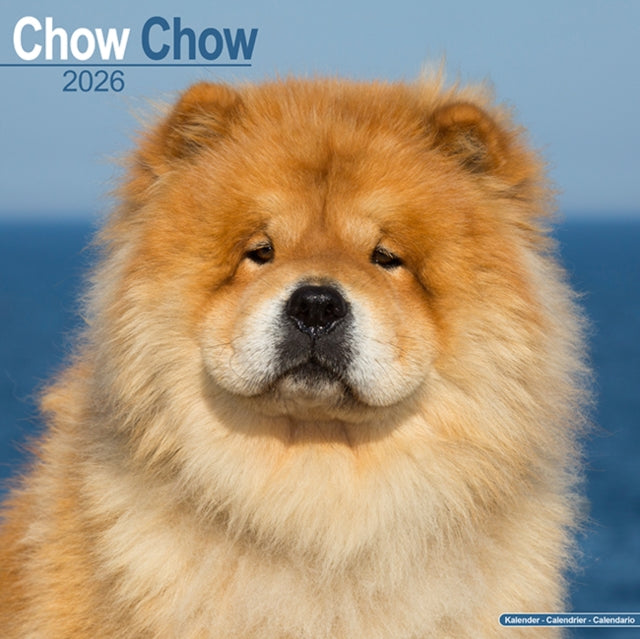Book cover of: Chow Chow Calendar 2026  Square Dog Breed Wall Calendar - 16 Month