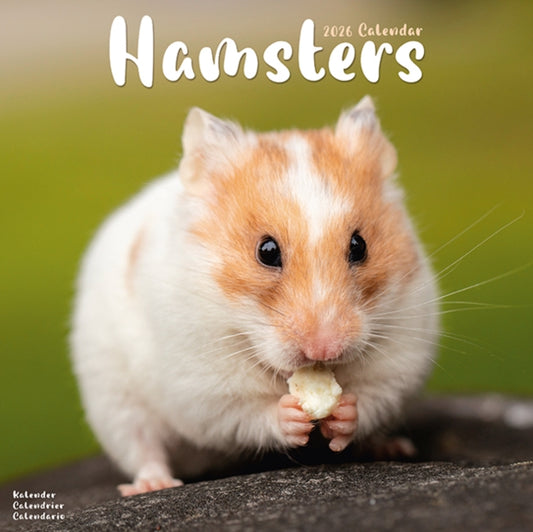 Book cover of: Hamsters Calendar 2026  Square Animal Wall Calendar - 16 Month