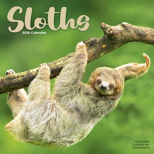 Book cover of: Sloths Calendar 2026  Square Animal Wall Calendar - 16 Month