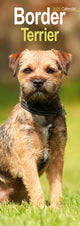 Book cover of: Border Terrier Slim Calendar 2026  Dog Breed Slimline Calendar - 12 Month