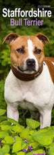 Book cover of: Staffordshire Bull Terrier Slim Calendar 2026  Dog Breed Slimline Calendar - 12 Month
