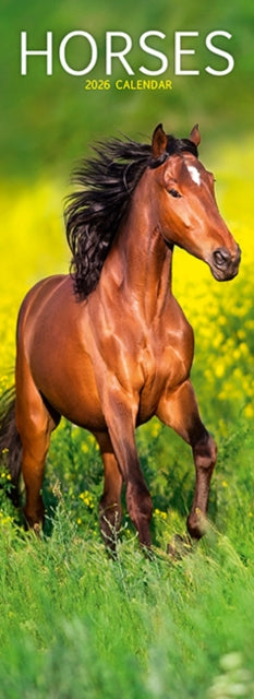 Book cover of: Horses Slim Calendar 2026  Horses Slimline Calendar - 12 Month
