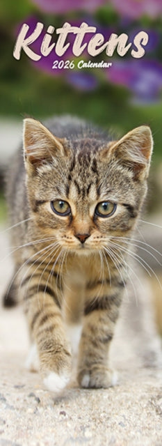 Book cover of: Kittens Slim Calendar 2026  Cute Slimline Calendar - 12 Month