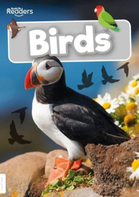 Book cover of: Birds. By: William Anthony; Gareth Liddington