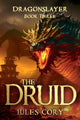 Book cover of: Druid. By: Jules Cory