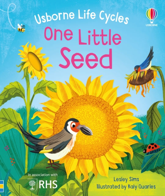 One Little Seed 9781805312635 Lesley Sims