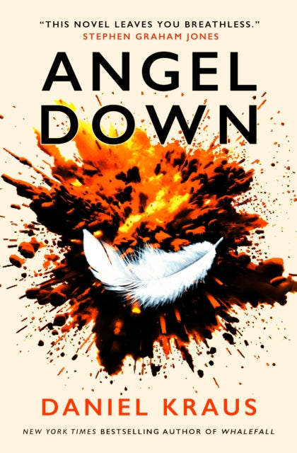 Book cover of: Angel Down