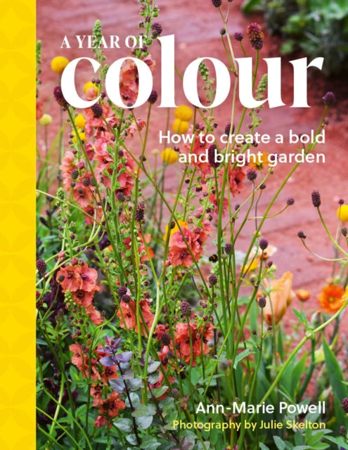 Year of Colour