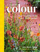 Year of Colour