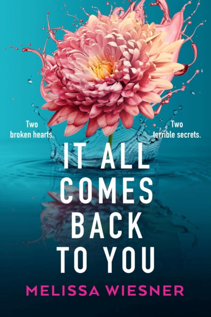 Book cover of: It All Comes Back to You. By: Melissa Wiesner