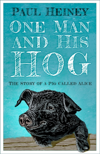 Book cover of: One Man and His Hog
