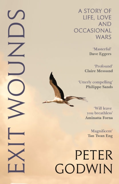 Book cover of: Exit Wounds