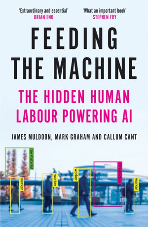Feeding the Machine, The Hidden Human Labour Powering AI