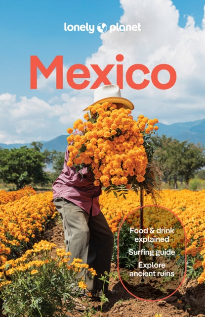 Book cover of: Lonely Planet Mexico