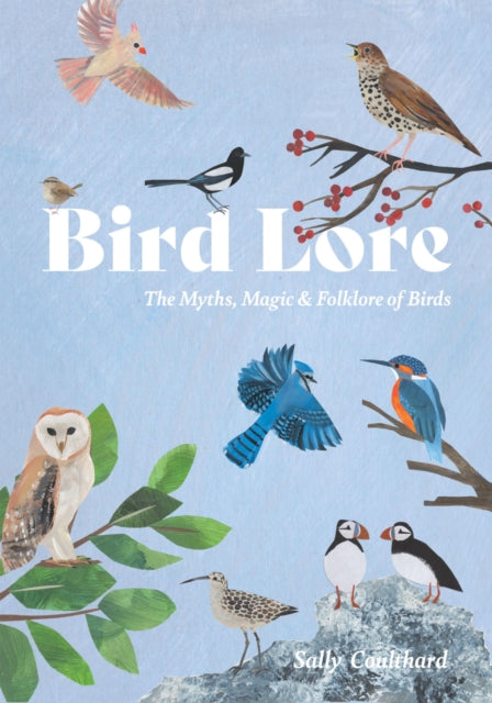 Bird Lore, The Myths, Folklore and Meaning of Birds 9781837833061 Sally Coulthard