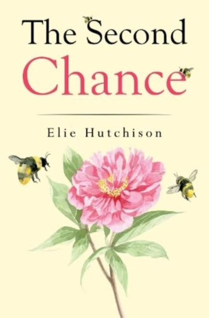 Book cover of: Second Chance