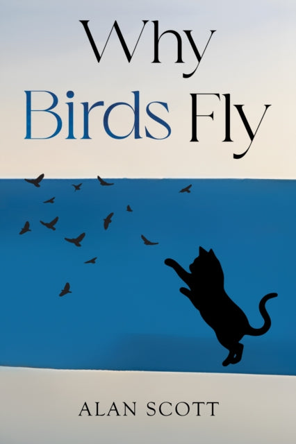 Book cover of: Why Birds Fly