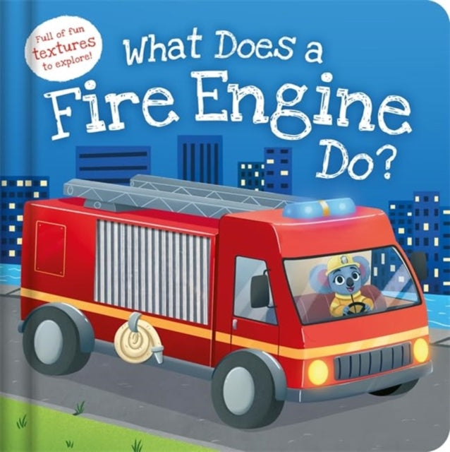 Book cover of: What Does a Fire Engine Do?