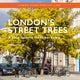 Book cover of: London's Street Trees. By: Paul Wood
