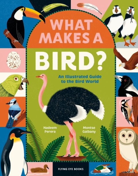 What Makes a Bird?