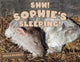 Book cover of: Shhh Sophie's Sleeping!