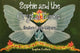 Book cover of: Sophie and the Crystal Fairies: Santa's Little Helpers
