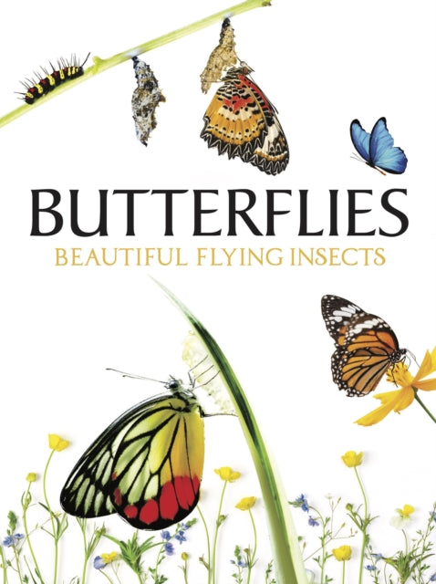 Book cover of: Butterflies. By: Tom Jackson