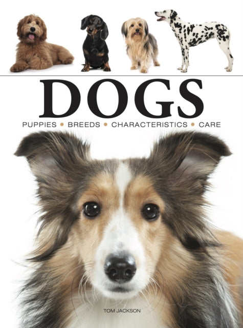 Book cover of: Dogs. By: Tom Jackson