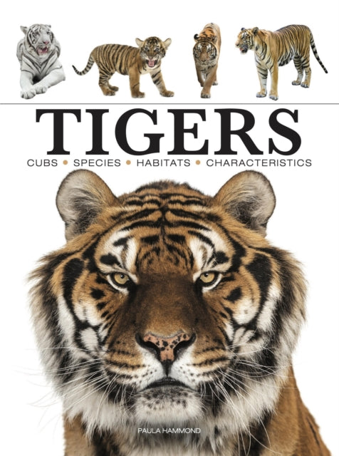 Book cover of: Tigers. By: Paula Hammond