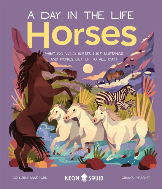 Horses (A Day in the Life), What Do Wild Horses like Mustangs and Ponies Get Up To All Day? 9781838992309 Anne, York, Carly