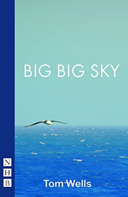 Book cover of: Big Big Sky. By: Tom Wells
