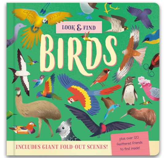 Book cover of: Look & Find