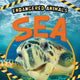 Book cover of: In the Sea. By: Emilie Dufresne