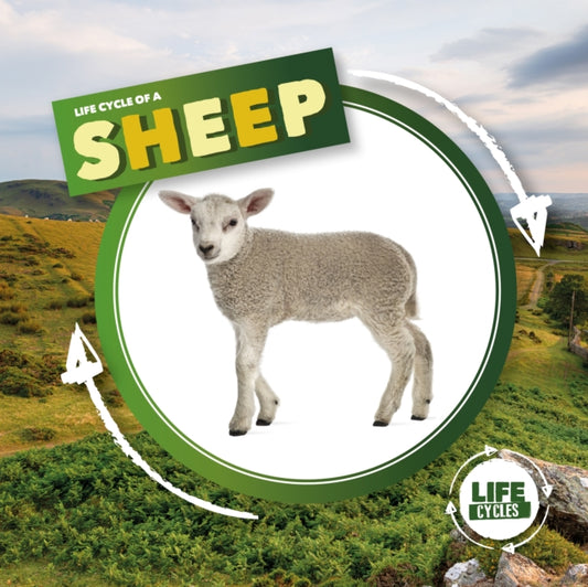 Book cover of: Life Cycle of a Sheep. By: Kirsty Holmes