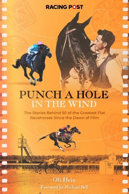 Book cover of: Punch a Hole. By: Oli Hein