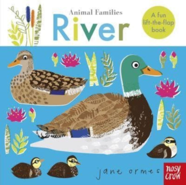 Book cover of: Animal Families: River. By: Jane Ormes