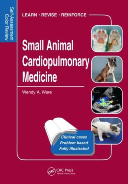 Book cover of: Small Animal Cardiopulmonary Medicine