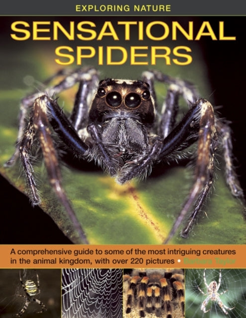 Book cover of: Exploring Nature