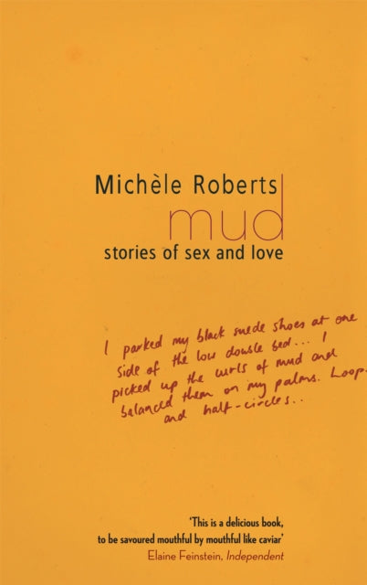 Book cover of: Mud. By: Michèle Roberts