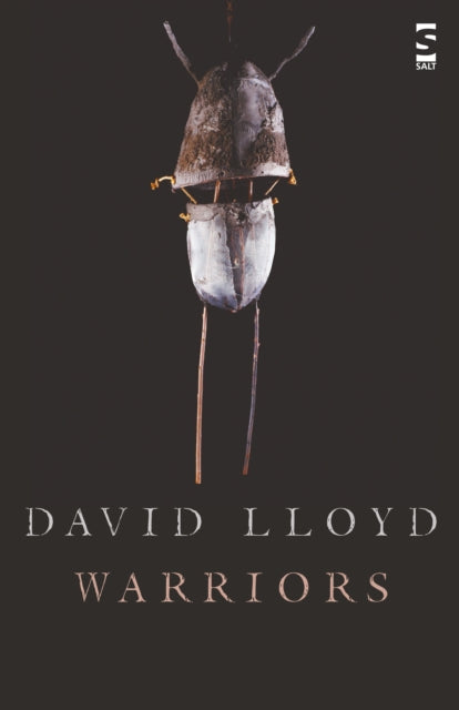 Book cover of: Warriors. By: David T. Lloyd