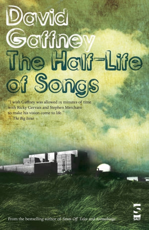 Half-Life of Songs